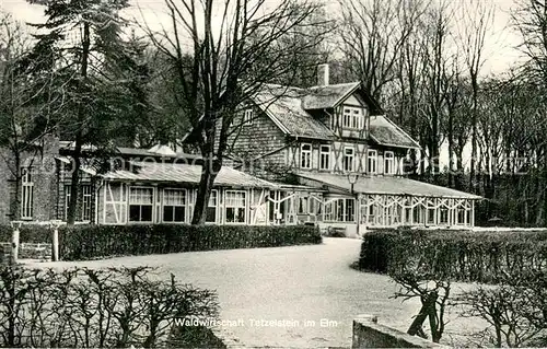 AK / Ansichtskarte Schoeppenstedt Waldwirtschaft Tetzelstein im Elm Schoeppenstedt