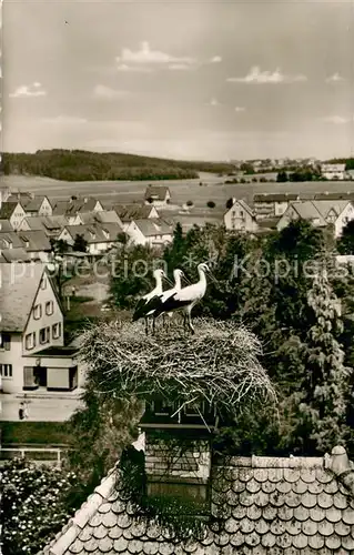 AK / Ansichtskarte Bad_Duerrheim Storchennest Bad_Duerrheim