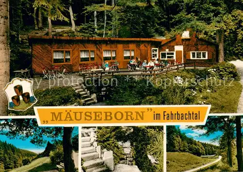 AK / Ansichtskarte Grossalmerode Rasthaus Waldschloesschen am Maeuseborn Teilansichten Grossalmerode
