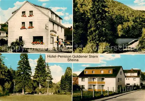 AK / Ansichtskarte Steina_Hartha Hotel Pension Goldener Stern Panorama Steina Hartha