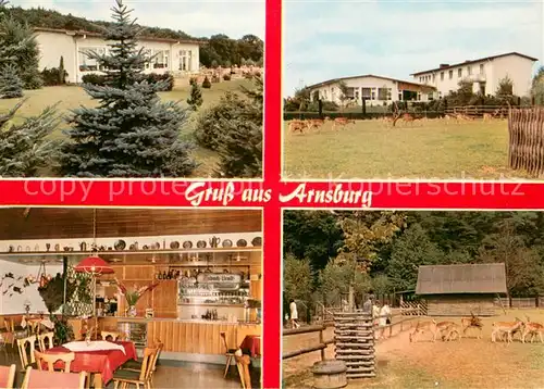 AK / Ansichtskarte Arnsburg_Hessen Gasthaus Pension Zum Klosterwald Gaststube Wildgehege Arnsburg Hessen