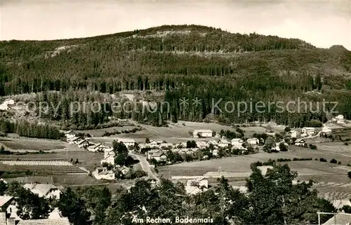 AK / Ansichtskarte Bodenmais Am Rechen Bodenmais