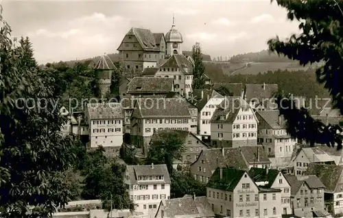 AK / Ansichtskarte Altensteig_Schwarzwald Teilansicht m. Schloss Altensteig_Schwarzwald