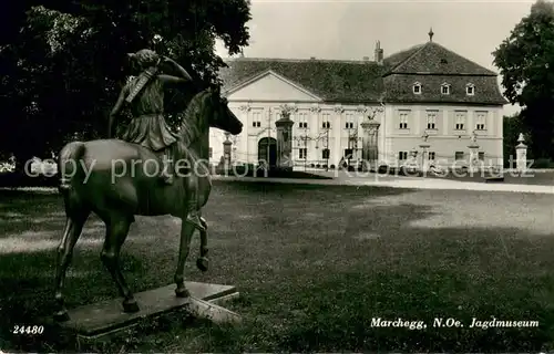 AK / Ansichtskarte Marchegg_Niederoesterreich Jagdmuseum Marchegg