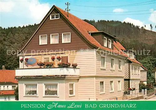 AK / Ansichtskarte Bad_Grund Pension Haus Leni Bad_Grund