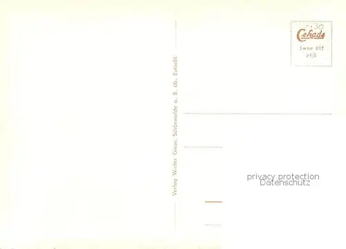 AK / Ansichtskarte Schoenwalde_Bungsberg Kirche Fernmeldeturm NDR Funkhaus Jugendherberge Waldpartie See Schoenwalde Bungsberg