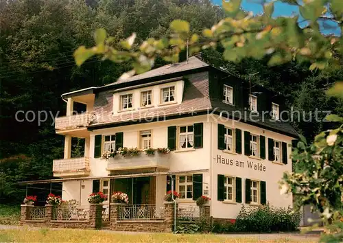AK / Ansichtskarte Brodenbach Pension Haus am Walde Brodenbach