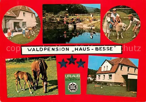 AK / Ansichtskarte Scherfede Waldpension Haus Besse Schafe Pferde Urlaub auf dem Bauernhof Fischteich Scherfede