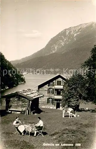 AK / Ansichtskarte Achensee Gelsalm m. Achensee Achensee