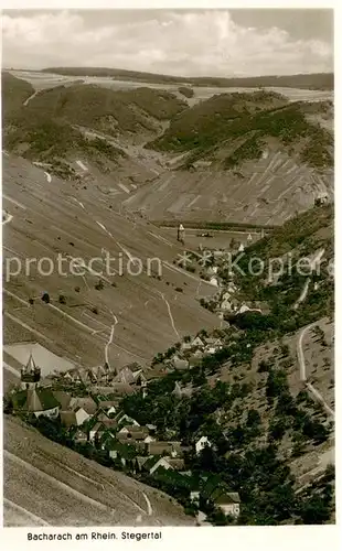 AK / Ansichtskarte Bacharach_Rhein Stegertal Bacharach Rhein