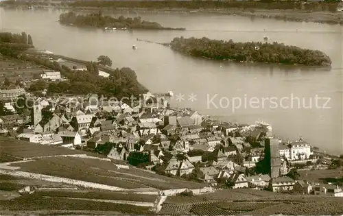 AK / Ansichtskarte Ruedesheim_am_Rhein GEsamtansicht Rhein Inseln 