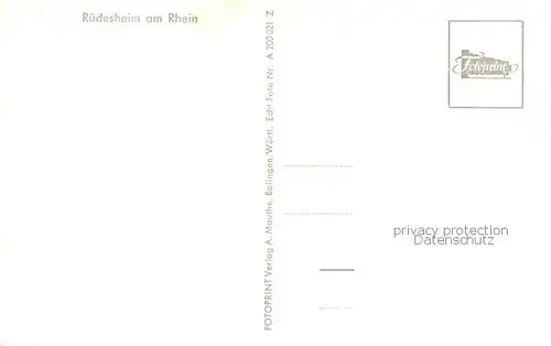 AK / Ansichtskarte Ruedesheim_am_Rhein GEsamtansicht Rhein Inseln 