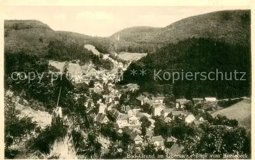 AK / Ansichtskarte Bad_Grund Gesamtansicht Bad_Grund