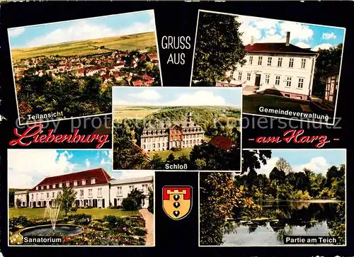 AK / Ansichtskarte Liebenburg Teilansicht m. Sanatoium Gemeindeverwaltung Partie am Teich Schloss Liebenburg