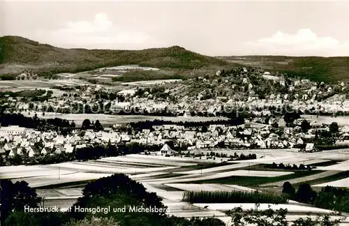 AK / Ansichtskarte Hersbruck mit Hansgoergl und Michelsberg Hersbruck