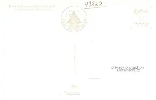 AK / Ansichtskarte Titisee mit Hochfirst Schwarzwald Titisee