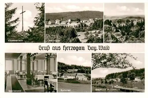 AK / Ansichtskarte Herzogau_Waldmuenchen Klammerfels Herzogau Sonnhof Speisesaal Kurhotel Gasthaus Waldeslust Herzogau Waldmuenchen