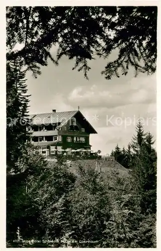 AK / Ansichtskarte Oberstdorf Alpenhotel Schoenblick Oberstdorf