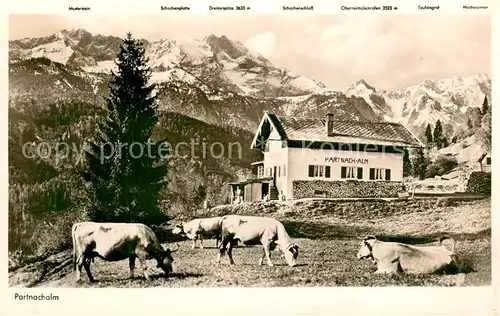 AK / Ansichtskarte Partnachalm_Garmisch Panorama 