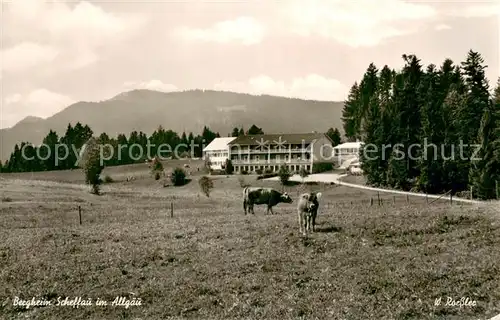 AK / Ansichtskarte Lindenberg_Allgaeu Bergheim Scheffau Lindenberg Allgaeu