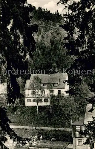 AK / Ansichtskarte Steina_Suedharz Pension Haus Waldfrieden Steina Suedharz