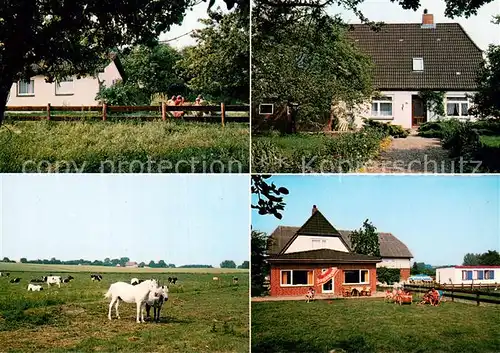 AK / Ansichtskarte Hasselburg_Altenkrempe Urlaub auf dem Bauernhof Ferienhof Meier Pferdekoppel Wiese Hasselburg Altenkrempe