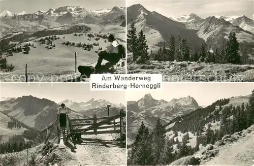 AK / Ansichtskarte Zweisimmen_BE Am Wanderweg Rinderberg Horneggli Details 