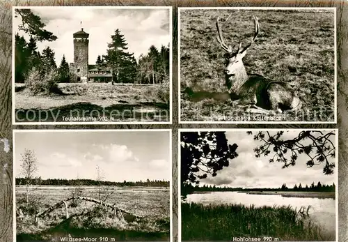 AK / Ansichtskarte Herrenalb_Schwarzwald Teufelsmuehle Wildgehege Kaltenbronn Wildsee Moor Hohlohsee 