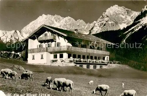 AK / Ansichtskarte Mittenwald_Bayern Berggasthof Groeblalm mit Woerner Schafherde Mittenwald Bayern