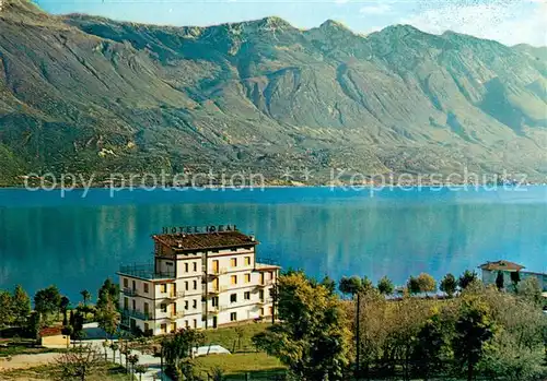AK / Ansichtskarte Limone_sul_Garda Hotel Ideal Gardasee Limone_sul_Garda