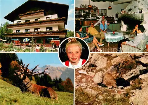 AK / Ansichtskarte Obsteig_Tirol_AT Pension Alpina Murmeltier 
