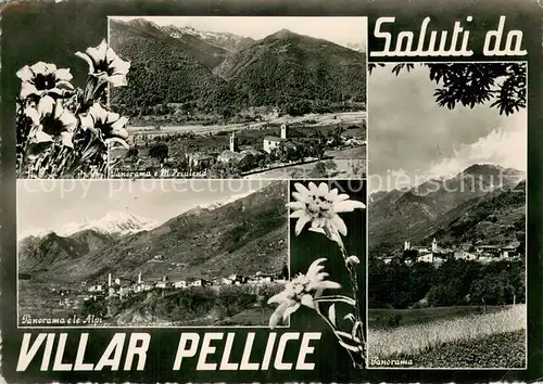 AK / Ansichtskarte Villar_Pellice_IT Panorama e M Jriulend Le Alpi Panorama 