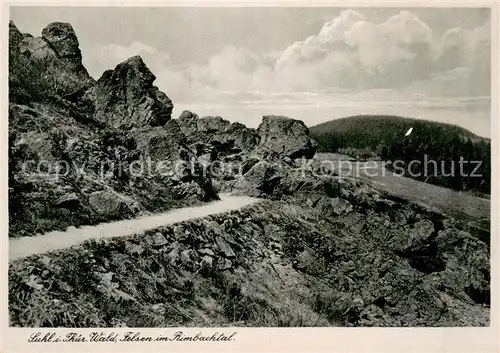 AK / Ansichtskarte Suhl_Thueringer_Wald Felsen im Rimbachtal Suhl_Thueringer_Wald