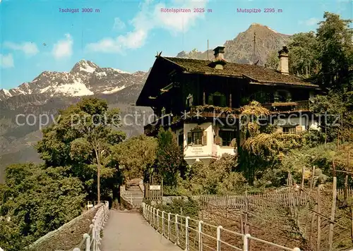 AK / Ansichtskarte Meran_Merano Tappeinerweg Pension Mimosa Saxifrago und Zielspitze Texelgruppe Meran Merano