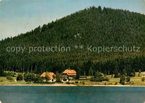 AK / Ansichtskarte Schluchsee Seehotel Auerhahn Schluchsee