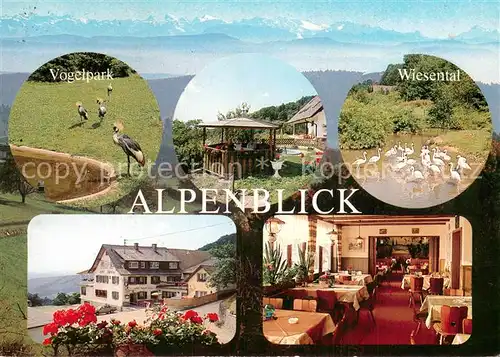 AK / Ansichtskarte Endenburg Berggasthof Cafe Pension Alpenblick Vogelpark Wiesental Gastraum Endenburg