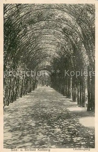 AK / Ansichtskarte Kolberg_Ostseebad_Kolobrzeg Laubengang Kolberg_Ostseebad