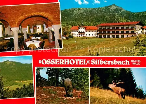 AK / Ansichtskarte Silbersbach Osserhotel Restaurant Wildschwein Hirsch Landschaftspanorama Silbersbach