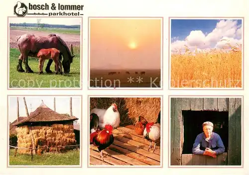 AK / Ansichtskarte Hierden Parkhotel Bosch & Lommer Bauernhof Pferde Huehner Getreidefeld Hierden