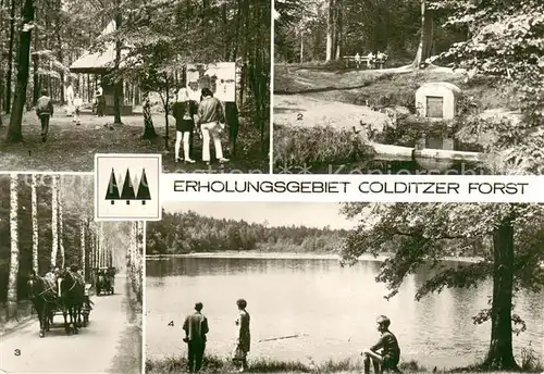 AK / Ansichtskarte Colditz Erholungsgebiet Colditzer Forst Parkplatz Pilz Birkenallee Parthequelle Altteich Colditz