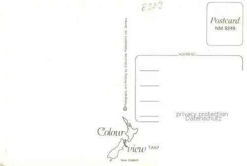 AK / Ansichtskarte Takaka Monument Strassenpartie Panorama 