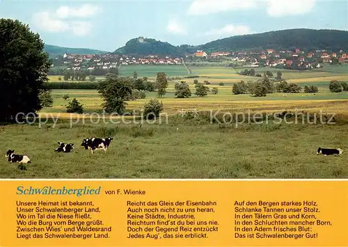 AK / Ansichtskarte Schwalenberg Panorama Schwalenberg