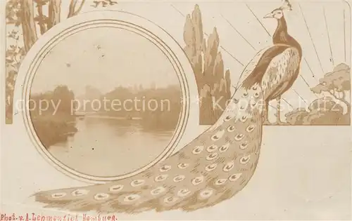 AK / Ansichtskarte Hamburg Park Hamburg