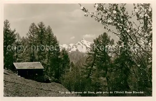 AK / Ansichtskarte Sion__Sitten_Seduno_VS Hotel Rosa Blanche 