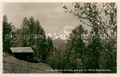 AK / Ansichtskarte Sion__Sitten_Seduno_VS Hotel Rosa Blanche 