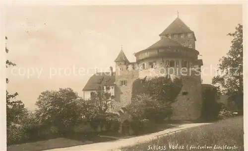 AK / Ansichtskarte Fuerstentum_Liechtenstein Schloss Vaduz 