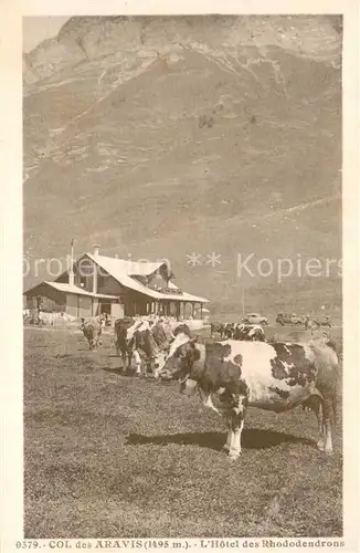 AK / Ansichtskarte Col_des_Aravis_74 Hotel des Rhododendrons 