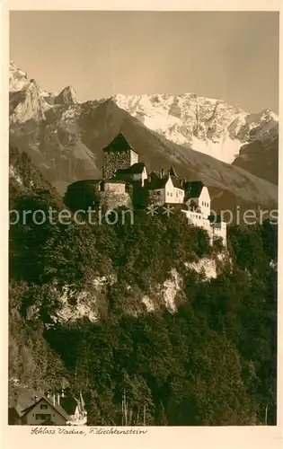 AK / Ansichtskarte Fuerstentum_Liechtenstein Schloss Vaduz 
