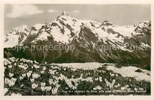 AK / Ansichtskarte Les_Mayens de Sion Hotel Rosa Blanche Les_Mayens de Sion