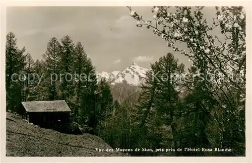 AK / Ansichtskarte Les_Mayens de Sion pris pres de l Hotel Rosa Blanche Les_Mayens de Sion
